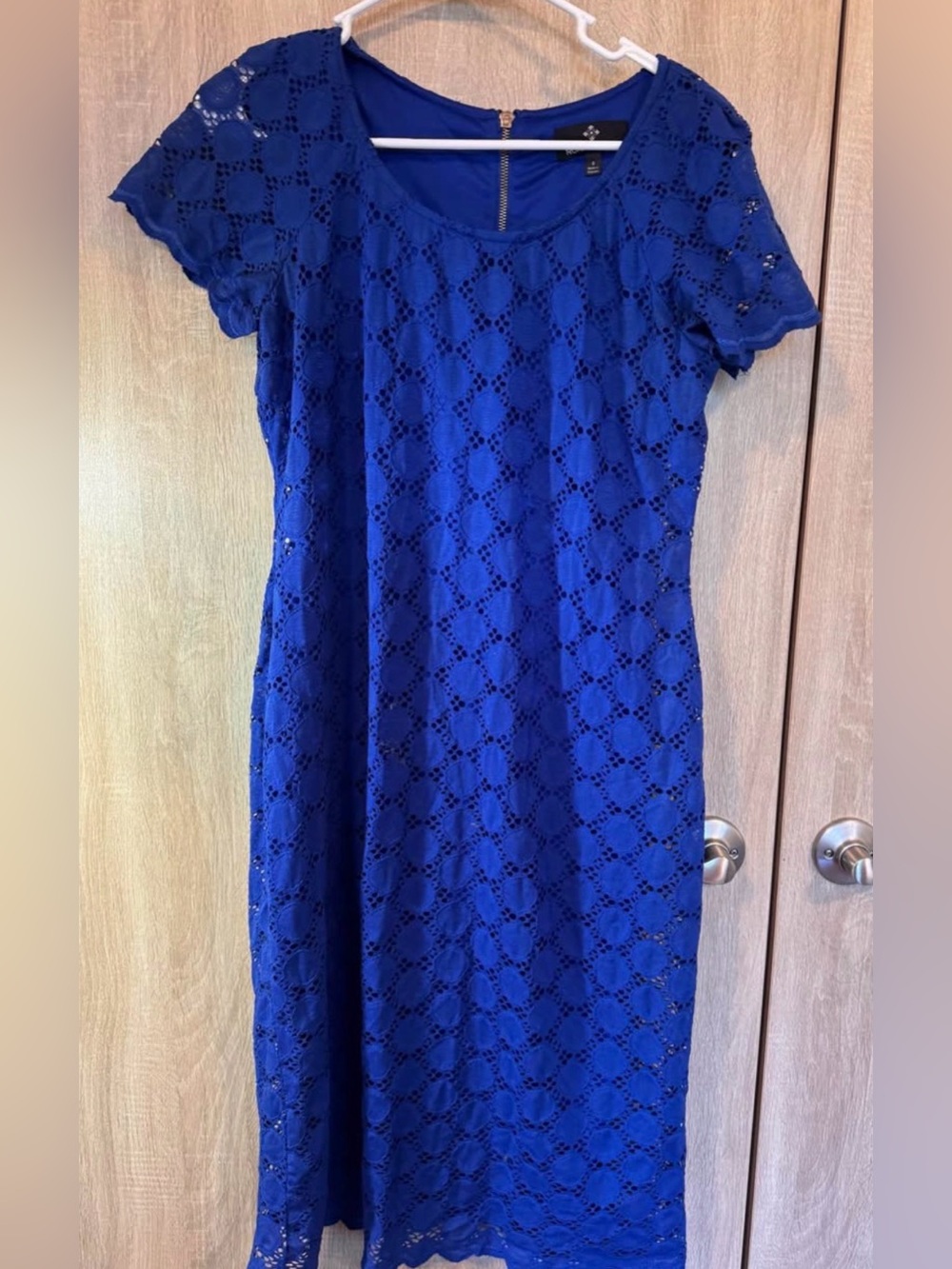 Blue Lace Short-Sleeve Casual Dress